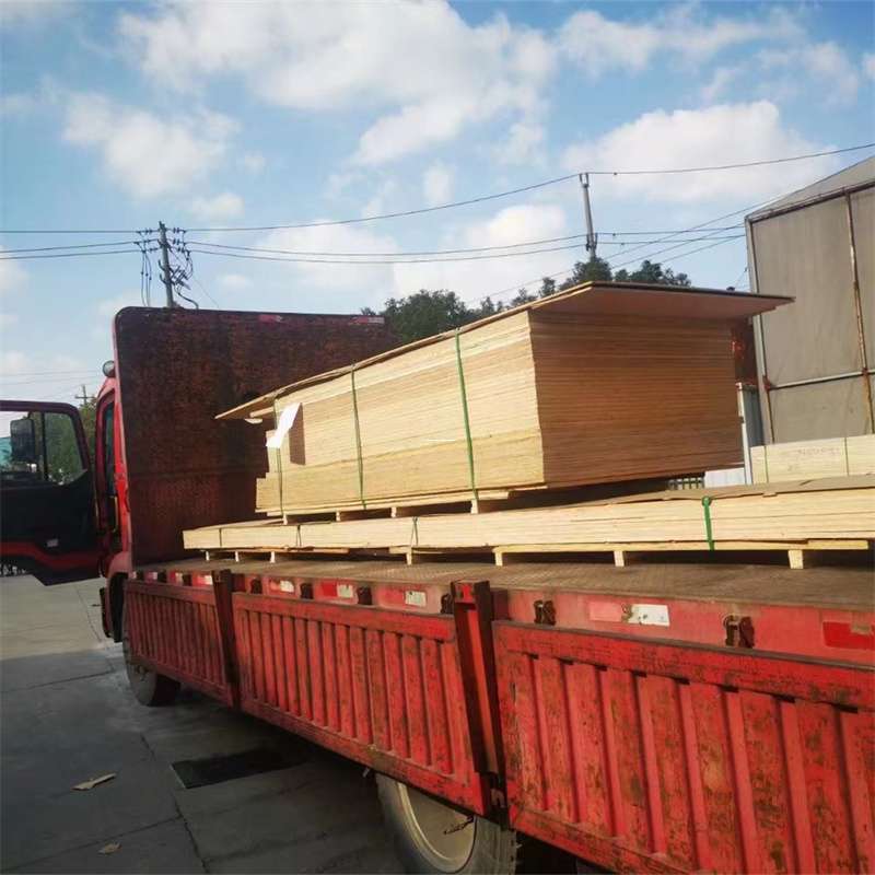 临海到河北物流公司——一站式服务，让货运更便捷